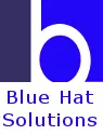 Blue Hat Solutions Private Limited logo