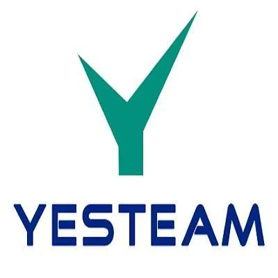 Yesteam Solution Private Limited logo