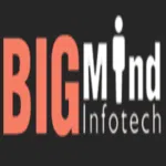 Bigmind Infotech Private Limited logo