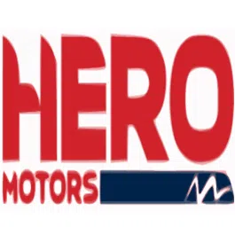 Zf Hero Chassis Systems Private Limited logo