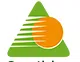Pratibha Syntex Limited logo