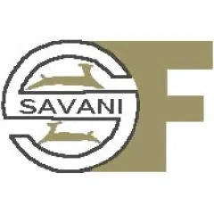 Savani Financials Limited logo