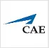 Cae India Private Limited logo