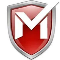 Max Secure Software India Private Limited logo