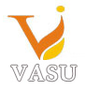 Vasu Infrastructure Private Limited logo