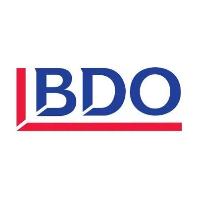Bdo Consulting Private Limited logo