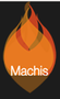 Machis Events Private Limited logo