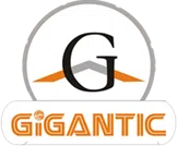 Gigantic Infotel Private Limited logo