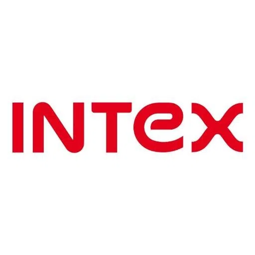 Intex Infosolutions Limited logo