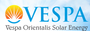 Vespa Orientalis Solar Energy Private Limited logo