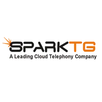 Spark Tg Info Private Limited logo