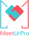 Meeturpro E Ventures Private Limited logo