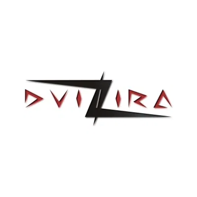 Dvizira Private Limited logo