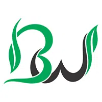 Barewalk Online Services Private Limited logo