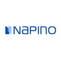 Napino Auto And Electronics Limited logo