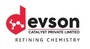 Devson Catalyst Private Limited logo