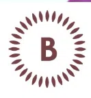 Barmalt (India) Private Limited logo