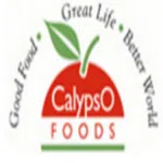 Calypso Foods Private Limited logo