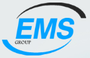 Ems Projects Private Limited logo
