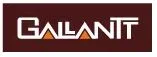 Gallantt Ispat Limited logo