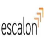 Escalon Business Services Private Limited logo