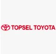 Topsel Pvt Ltd logo