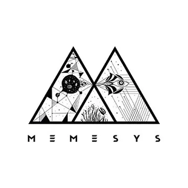 Memesys Cultural Lab Private Limited logo