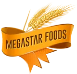 Megastar Foods Limited logo