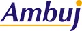 Ambuj Ventures (India) Private Limited logo