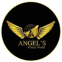 Angel'S Virtual World Private Limited logo