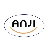 Anji Engineering Solutions Private Limited logo