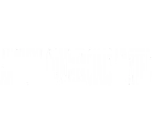 Anshuni Commercials Limited logo