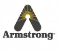 Armstrong International Private Limited logo