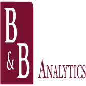B&B Analytics Private Limited logo