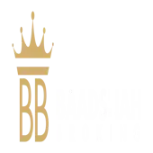 Baadshah Broking Limited logo