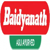 Baidyanath Power Private Limited logo