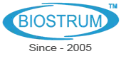 Biostrum Nutritech Private Limited logo