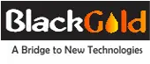 Blackgold Management Services Private Limited logo