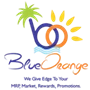 Blue Orange Incentives Private Limited logo