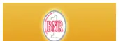 Bnr Capital Services Private Limited logo