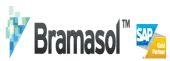 Bramasol India Private Limited logo