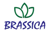 Brassica Hospitality Services Private Limited logo