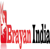 Brayan Engineering And Contracting Private Limited logo