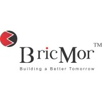 Bricmor Infrastructure Limited logo