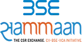 Bse Sammaan Csr Limited logo