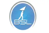Bsl Placement Private Limited logo