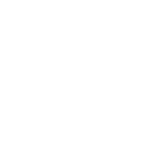 Bwe India Limited logo