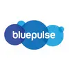 Bluepulse Ventures Private Limited logo