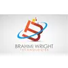 Brahmi Wright Technologies Private Limited logo