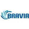 Bravia Techno Solutions Private Limited logo